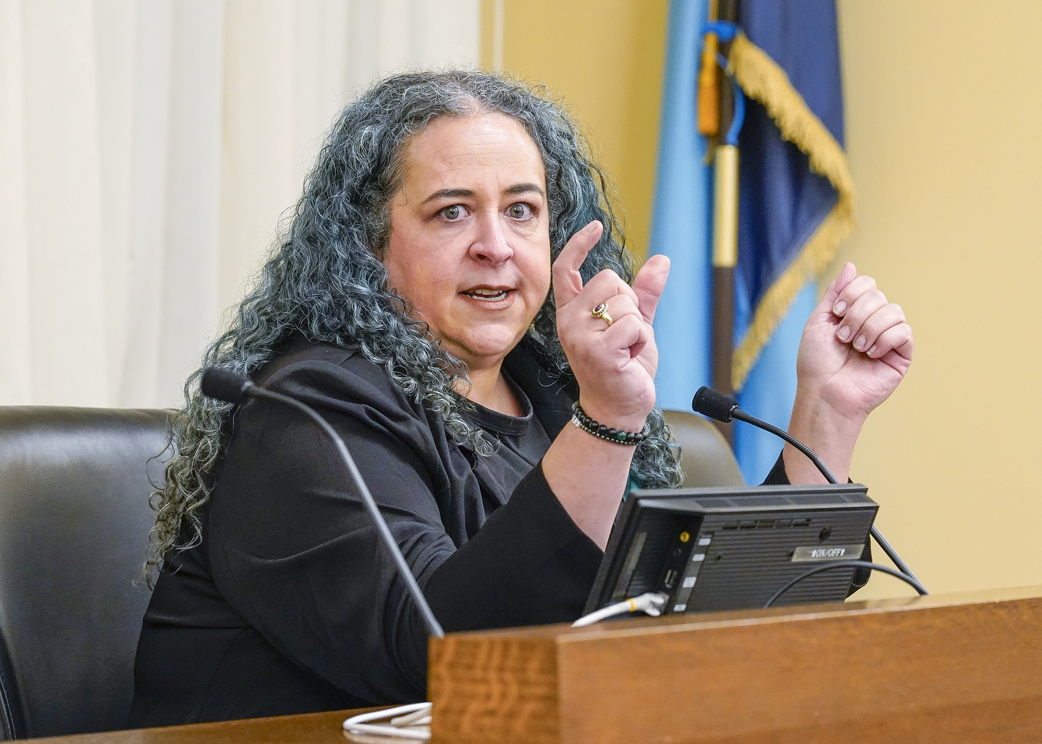 Rep. Aisha Gomez presents HF4616 to the House Taxes Committee April 7. The bill would establish a 1% percent tax on all taxable wealth of individuals and trusts that exceeds $10 million. (Photo by Andrew VonBank)